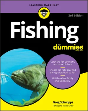 Greg Schwipps Fishing For Dummies обложка книги