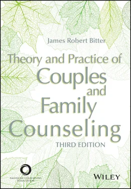 James Robert Bitter Theory and Practice of Couples and Family Counseling обложка книги