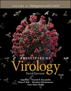 S. Jane Flint Principles of Virology, Volume 2 обложка книги