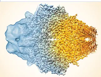 The composite image of cryoEM reconstructions of the enzyme βgalactosidase - фото 99