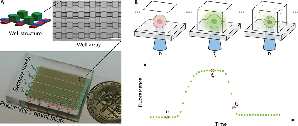 Figure 222 Singlecell virology AA microfluidic device with 6400 wells is - фото 63