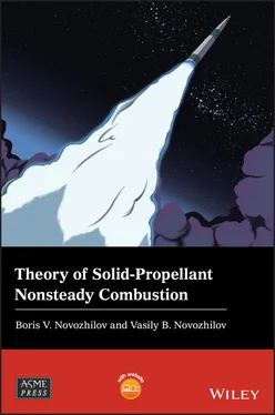 Vasily B. Novozhilov Theory of Solid-Propellant Nonsteady Combustion обложка книги