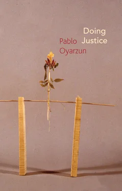 Pablo Oyarzun Doing Justice обложка книги