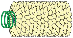 Overcoming Host Defenses Organisms have many physical barriers to protect - фото 30