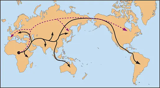 Figure 12 Tracking ancient human migrations by the viruses they carried The - фото 9