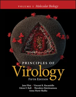 Jane Flint Principles of Virology, Volume 1 обложка книги