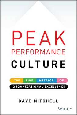 Dave Mitchell Peak Performance Culture обложка книги