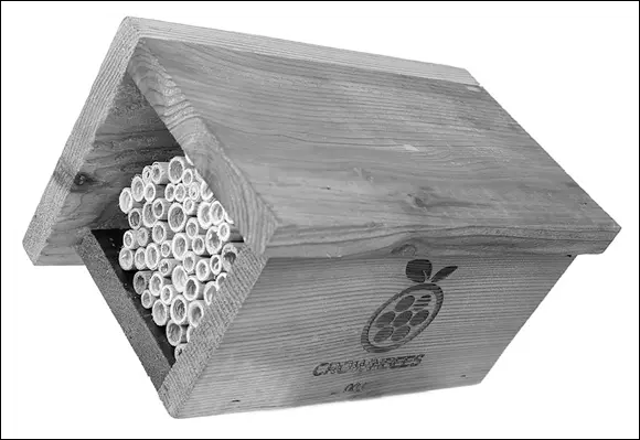 Courtesy of wwwcrownbeescom FIGURE 217A commercially available masonbee - фото 38