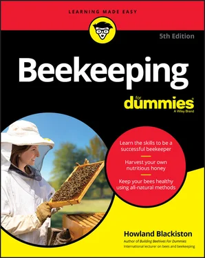 Howland Blackiston Beekeeping For Dummies обложка книги