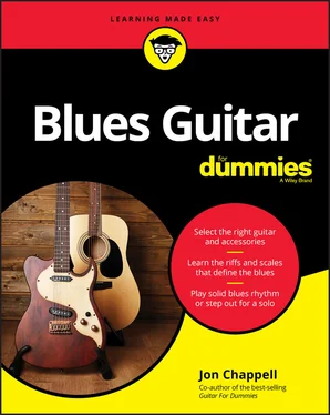 Jon Chappell Blues Guitar For Dummies обложка книги