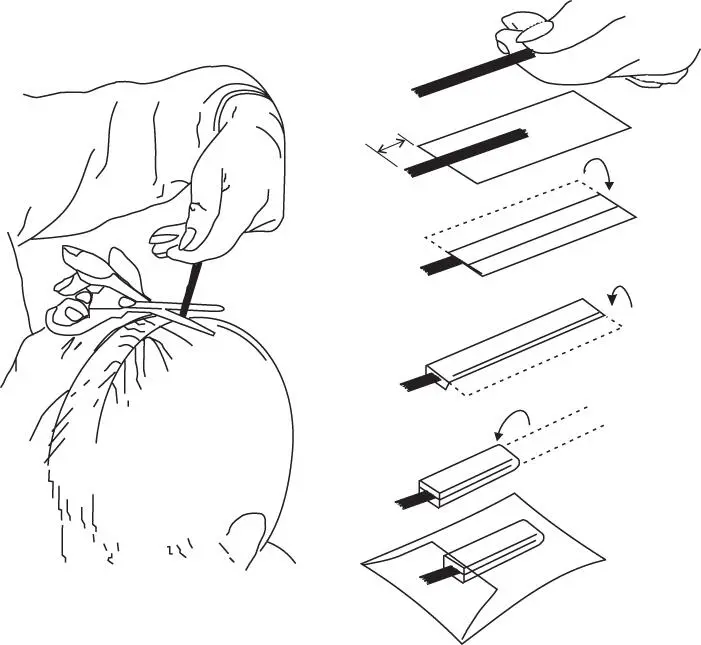 Figure 22 Schematic of head hair collection 2318 Bone Bone marrow - фото 9