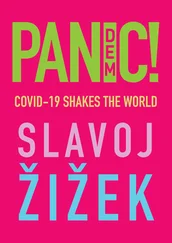 Slavoj Žižek - Pandemic!