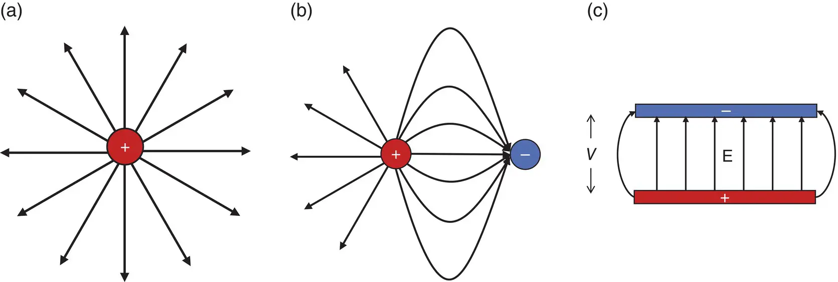 Figure 21 Electric field lines begin at a source of positive charge and - фото 48