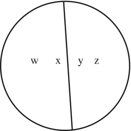 In this classification w and x have been put together and separated from y and - фото 4