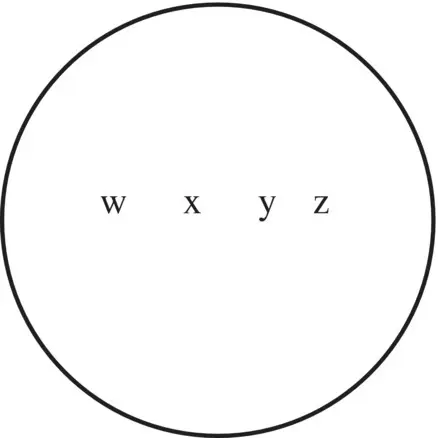 Suppose that w and x belong together and that y and z belong together but also - фото 3