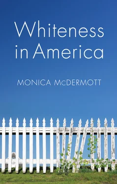 Monica McDermott Whiteness in America обложка книги