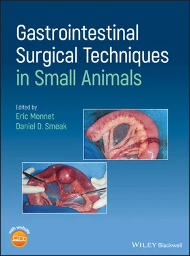 Неизвестный Автор Gastrointestinal Surgical Techniques in Small Animals обложка книги