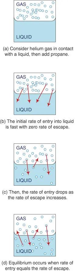 Figure 23Forming an Equilibrium Lets assume that the gas space in Figure - фото 28