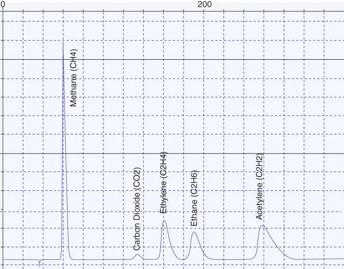 Figure 18A Real Chromatogram Source Yokogawa Electric Corporation - фото 25