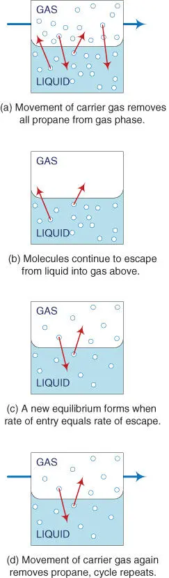 Figure 24The Carrier Gas Moves Lets see what happens next Imagine the small - фото 29