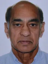 Suru Patel PhD Process Analyzer Consultant Patex Controls Ltd Calgary - фото 14