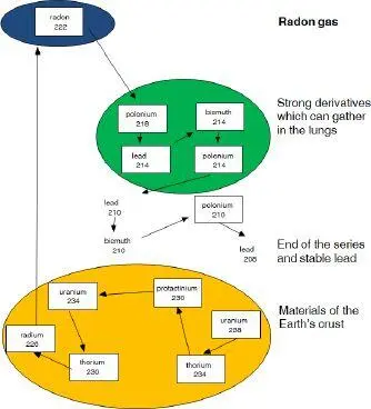 Figure 22 The radioactive family of uranium 238 and its derivatives - фото 5