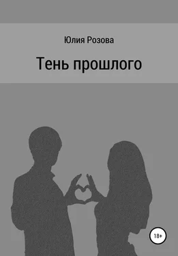 Юлия Розова Тень прошлого обложка книги
