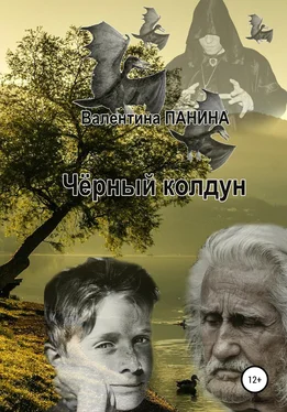 Валентина Панина Чёрный колдун обложка книги