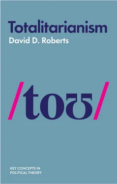 David D. Roberts Totalitarianism обложка книги