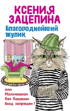 Ксения Зацепина Благороднейший жулик, или Мальчишкам без башенки вход запрещен! обложка книги
