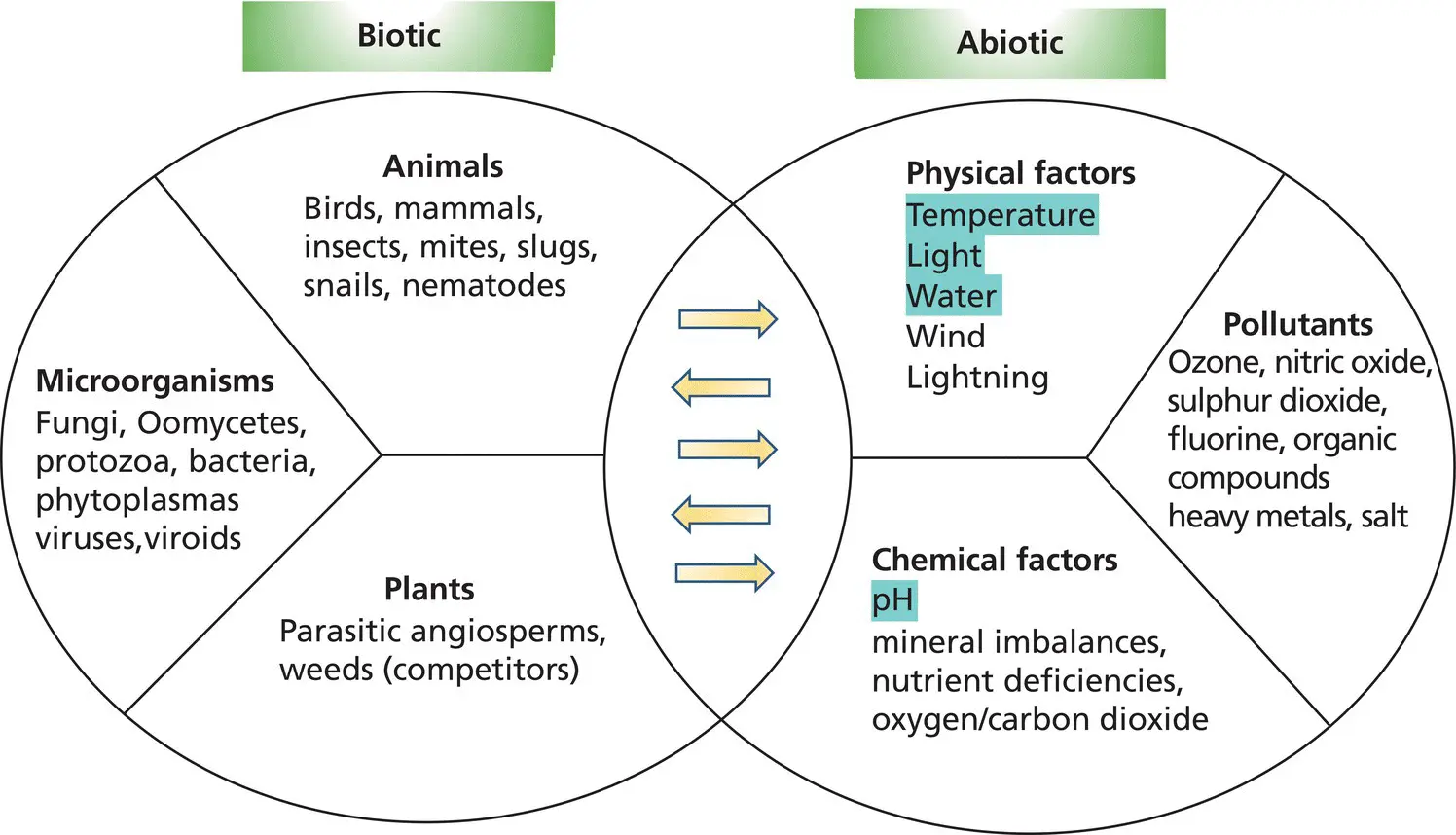 Figure 15 Agents responsible for plant disease disorders and damage - фото 9