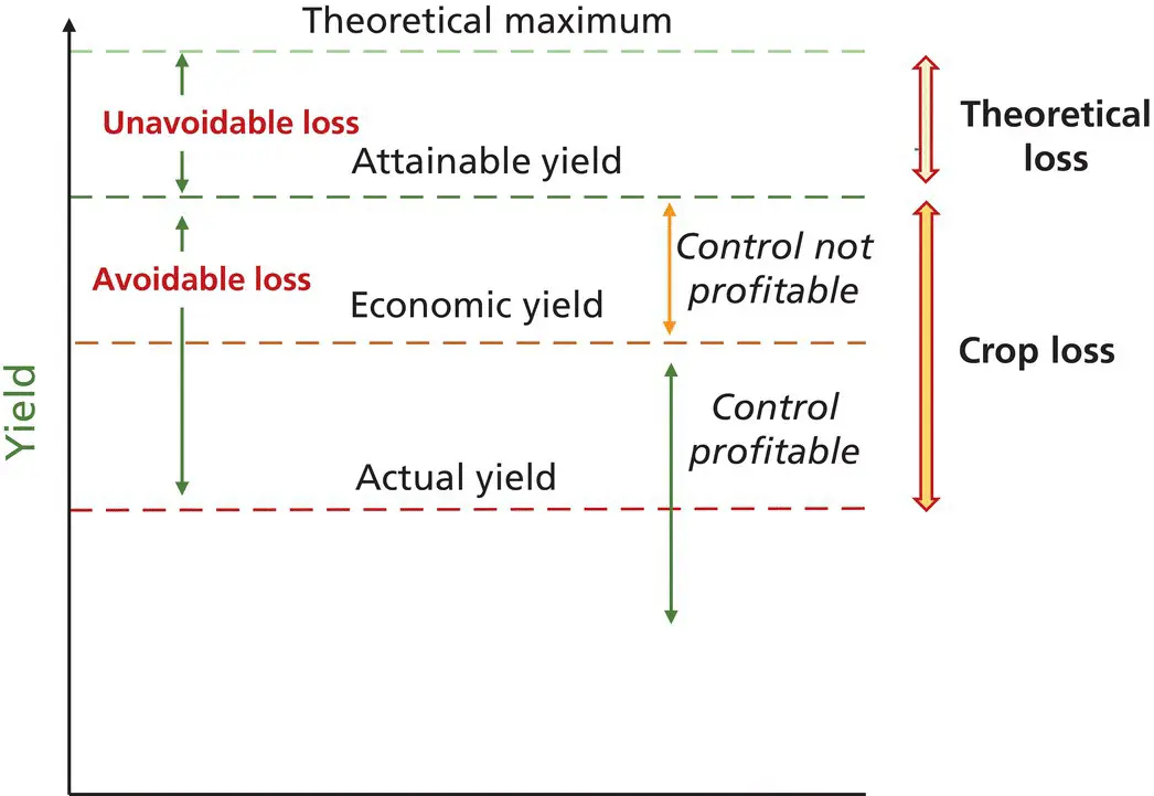 Figure 18 Relationship between yield levels and crop loss indicating economic - фото 12