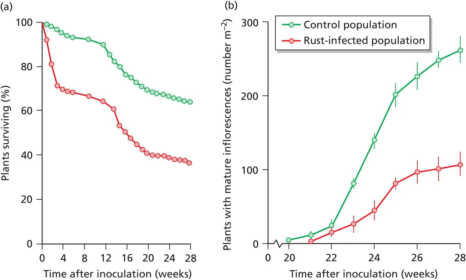 Figure 17 Effect of infection by the rust fungus Puccinia lagenophorae on - фото 11