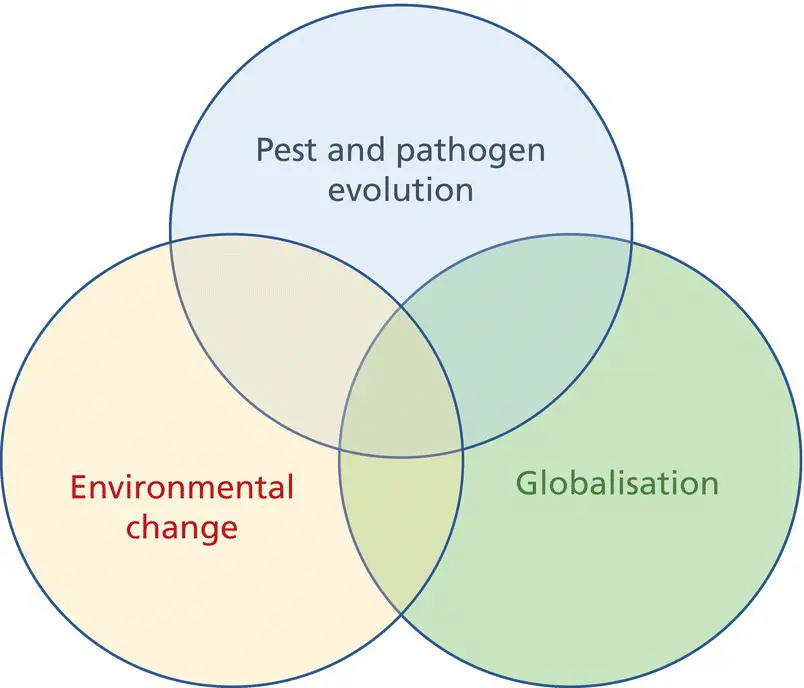 Figure 110 A convergence of forces increasing the threat of plant disease - фото 14