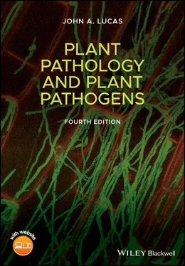 John A. Lucas Plant Pathology and Plant Pathogens обложка книги