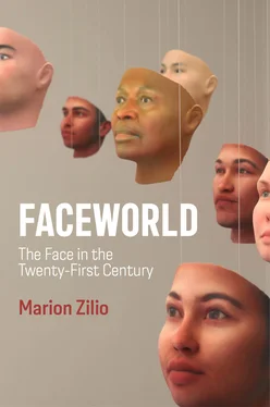 Marion Zilio Faceworld обложка книги