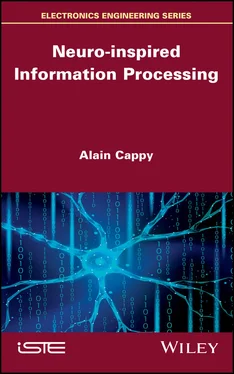 Alain Cappy Neuro-inspired Information Processing обложка книги