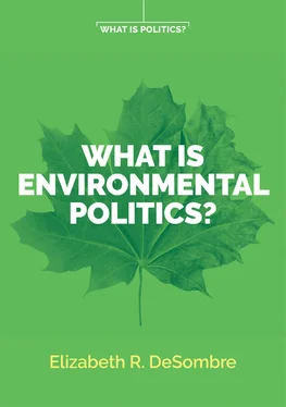 Elizabeth R. DeSombre What is Environmental Politics? обложка книги