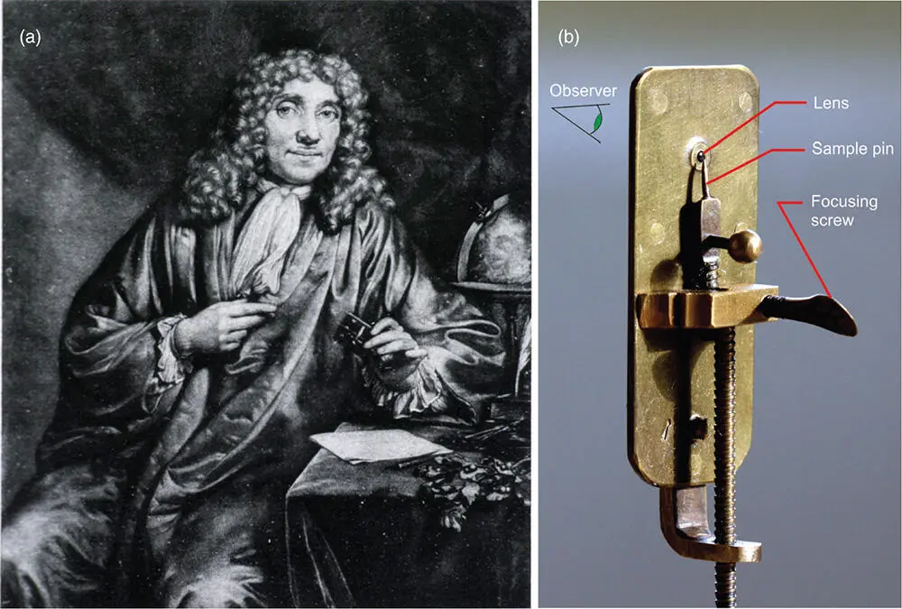 Figure 51 Early microbiology a Antonie van Leeuwenhoek discoverer of - фото 97