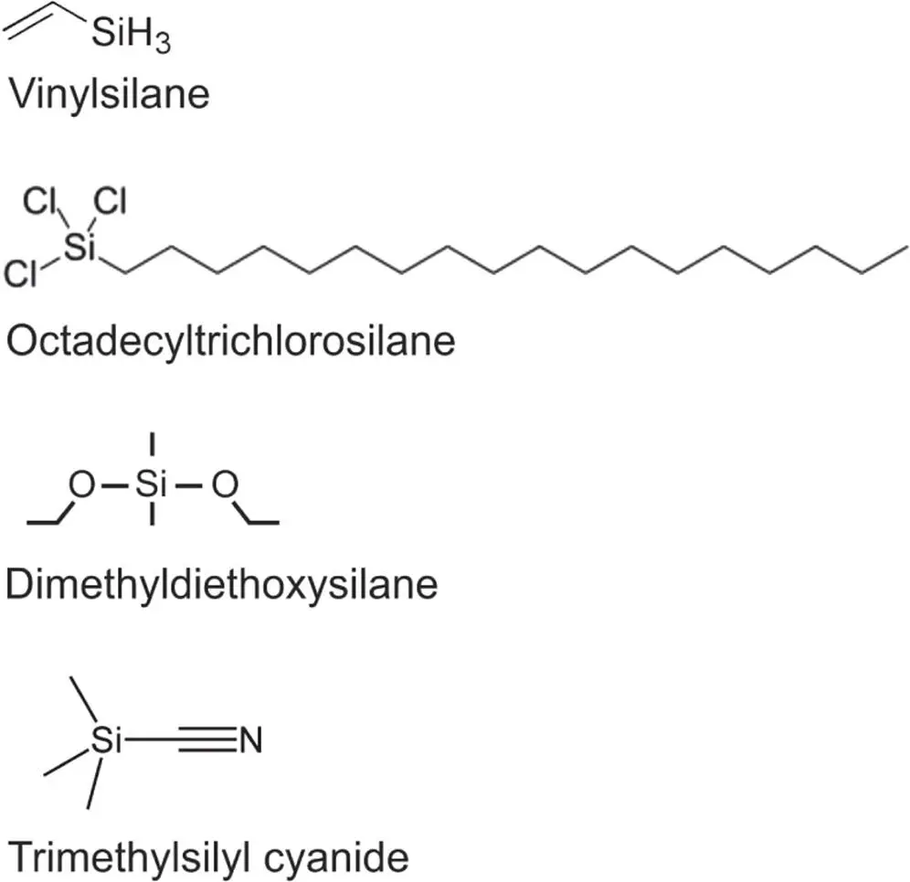 Figure 419 Hybrid siliconcarbon chemistries in life Silanes can include - фото 94