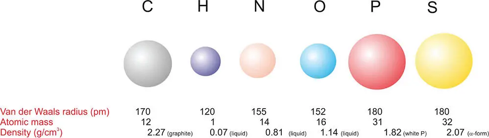 Figure 41 The six ubiquitous elements of life CHNOPS The van der Waals - фото 68