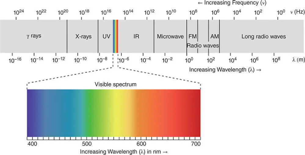 Figure 324 The wavelength and frequency of different types of electromagnetic - фото 58