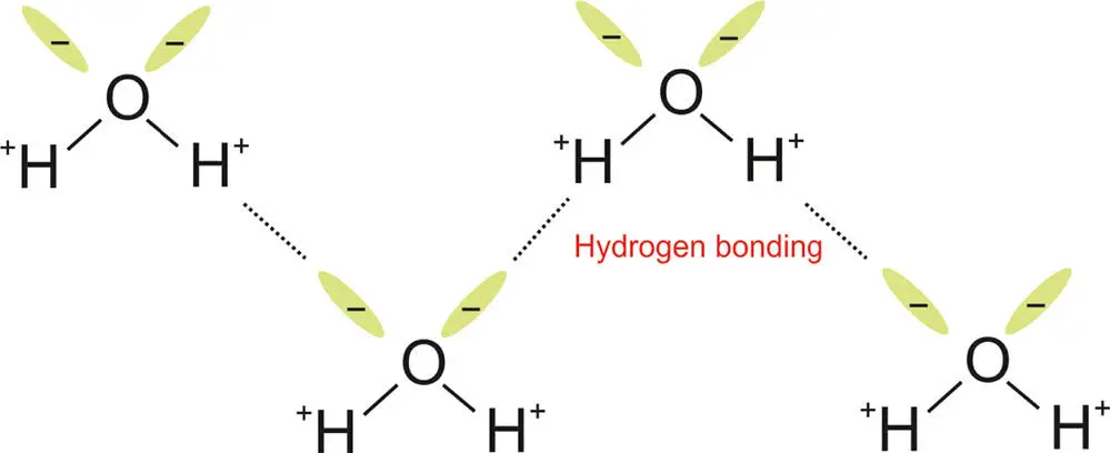 Figure 315 Hydrogen bonding in water ice The dotted lines show the hydrogen - фото 48