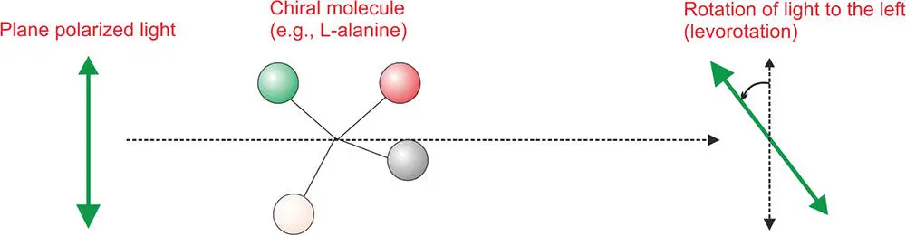 Figure 47 Chiral molecules rotate polarized light in particular directions - фото 78