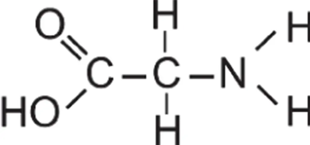 Figure 42 The organic molecule glycine the simplest amino acid There is a - фото 70