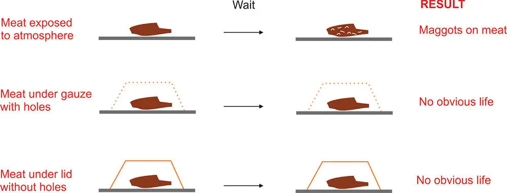 Figure 23 Disproving spontaneous generation A schematic diagram showing - фото 20