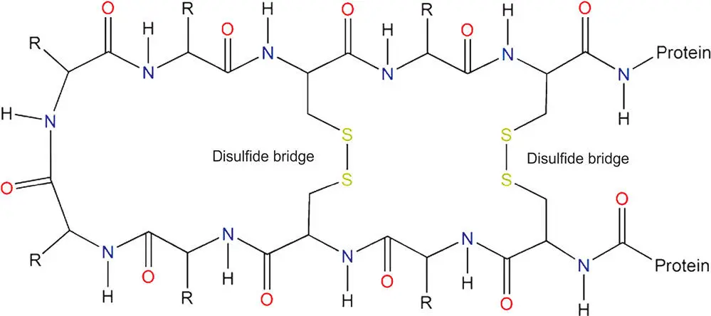 Figure 38 As well as holding atoms together in molecules covalent bonds link - фото 40