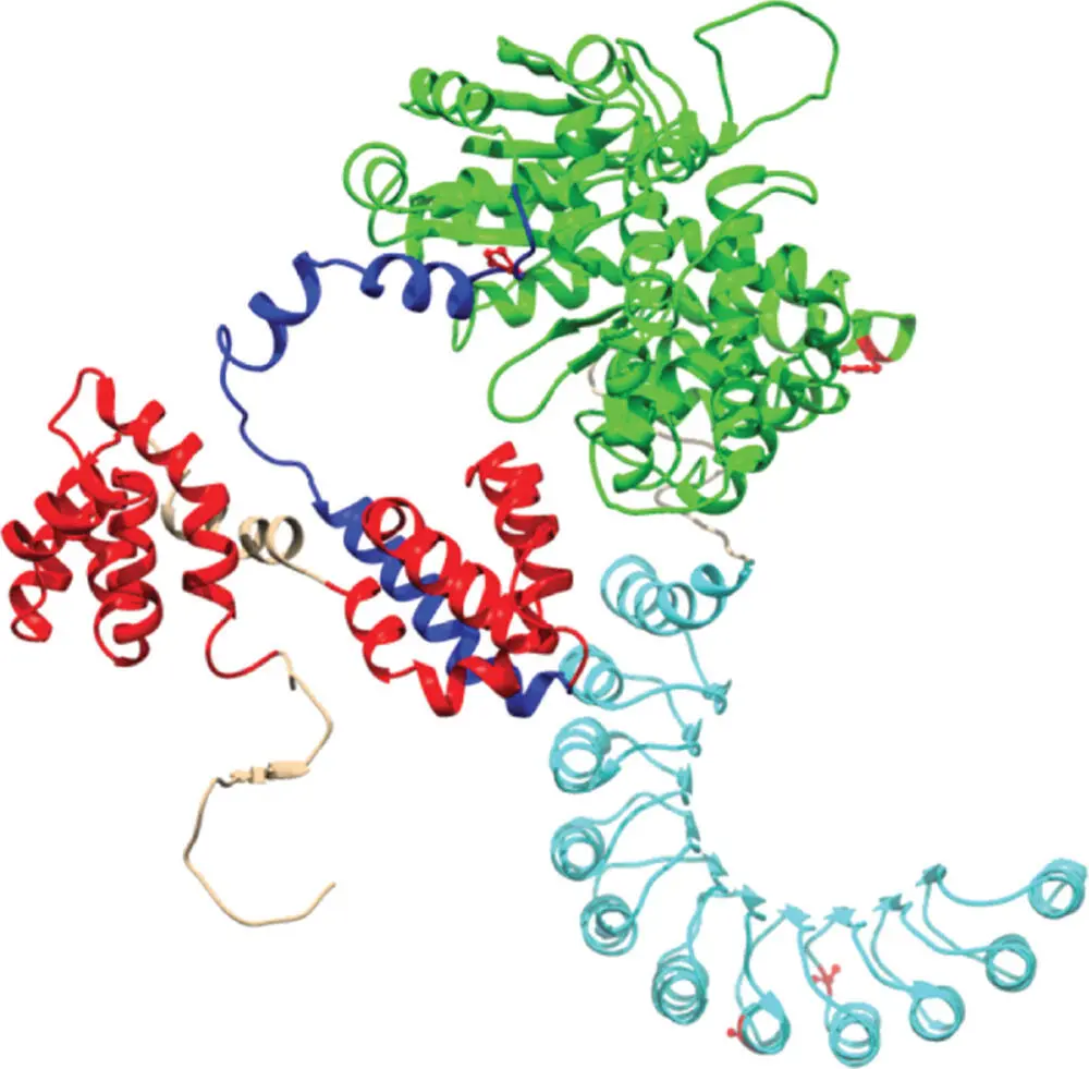 Figure 35 A typical protein The colored ribbons and lines depict the chains - фото 37