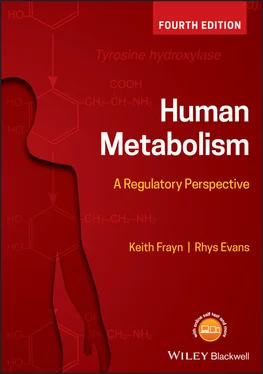 Keith N. Frayn Human Metabolism обложка книги