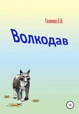 Елена Галенко Волкодав обложка книги